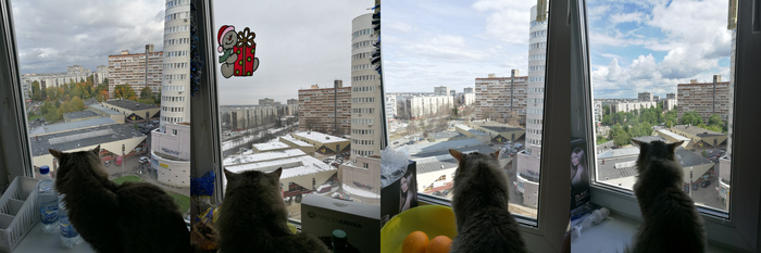 ������� ����