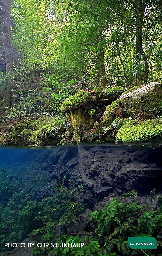 For lovers of biotopes - a body of water in the Swabian Alps by Chris Luhaup - Aquarium, Biotope aquariums, Water, Underwater photography, Longpost