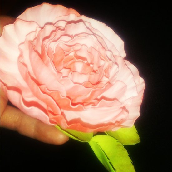 My first roses@):- - My, Handmade, Handmade, Longpost