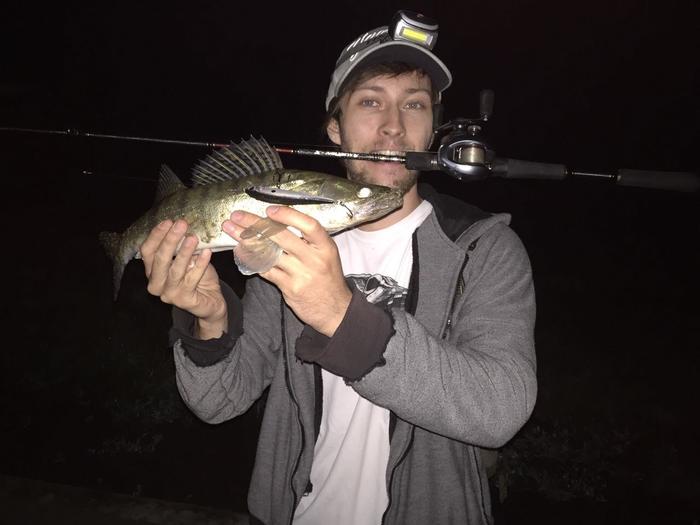 A bit of summer city fishing (June-August 2017) - My, Fishing, Summer, Relaxation, Street phishing, Longpost, community of anglers