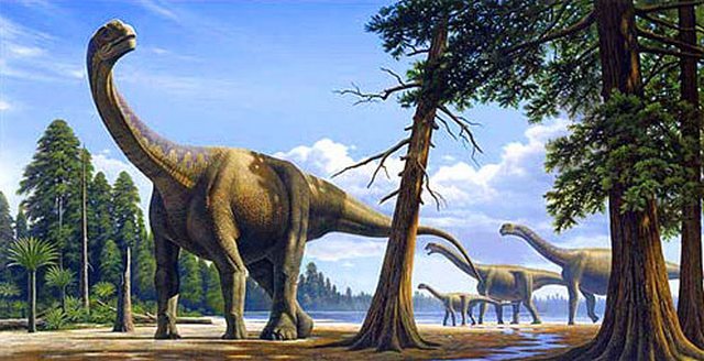 Vegetarianism is bad for sauropod brains - Paleonews, Paleontology, Sauropods, Dinosaurs, The science, Longpost, Copy-paste