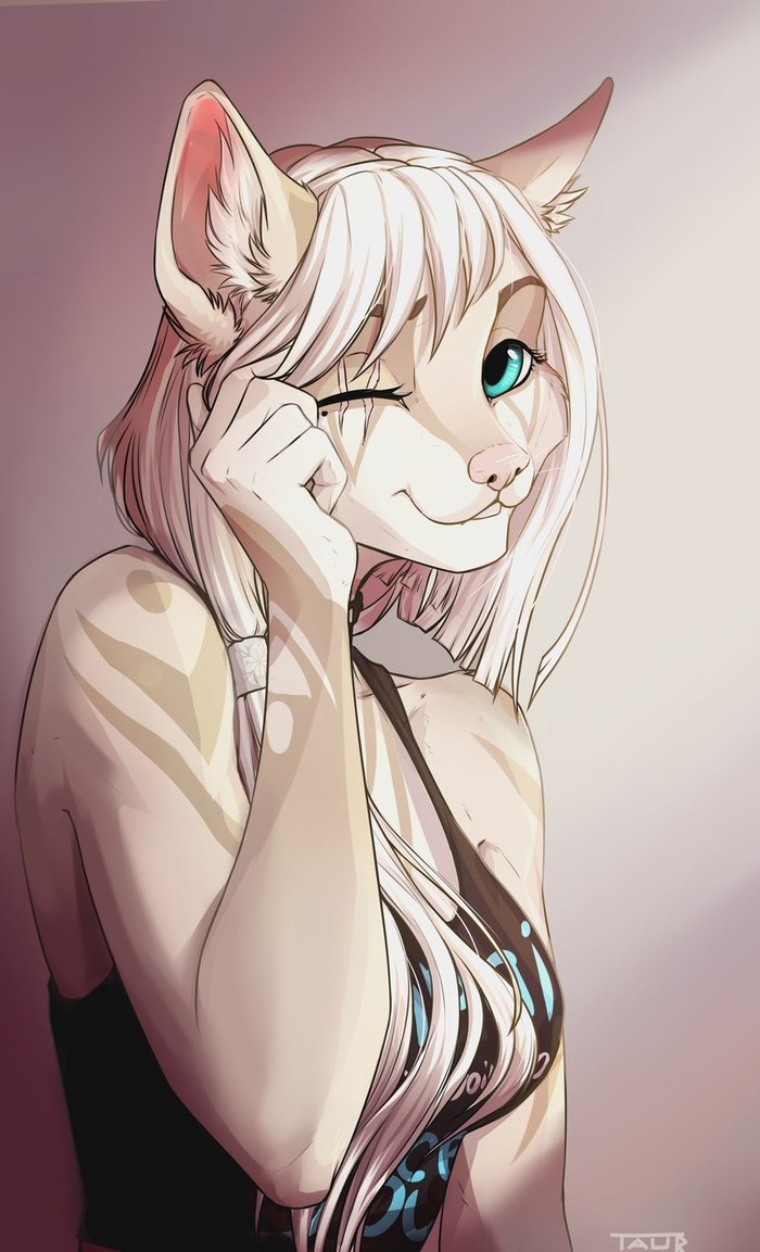 Kitty - Taurus Art, Furry, Art