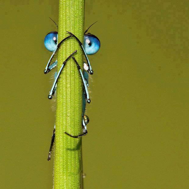 Кто не спрятался я не виноват