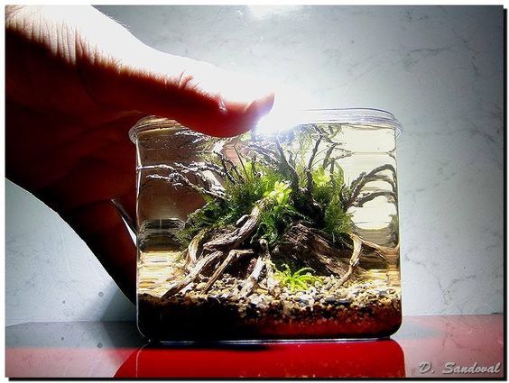 "Redemption" by Diego Sandoval 10cm x 10cm x 9cm