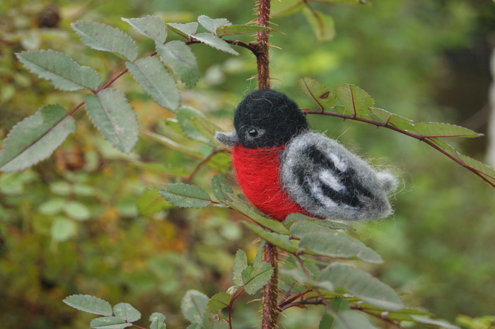 Bullfinch - My, Birds, Wool, Wallow, Dry felting, , Felting felting