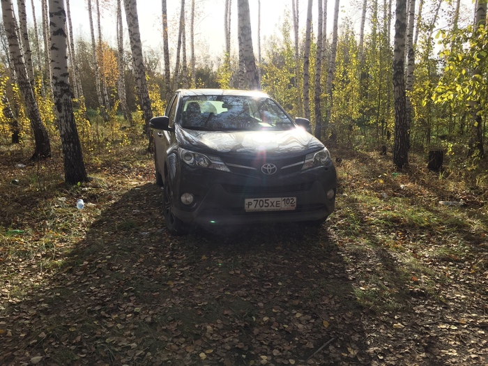 � ����� ���-�� ����?