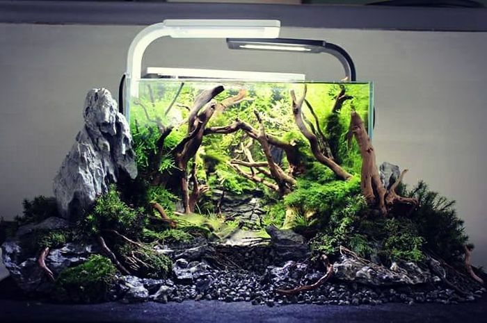 Друзья - всмотритесь в этот необычный нано акваскейп. Какое удачное сочетание с наружным оформлением! Вау!!