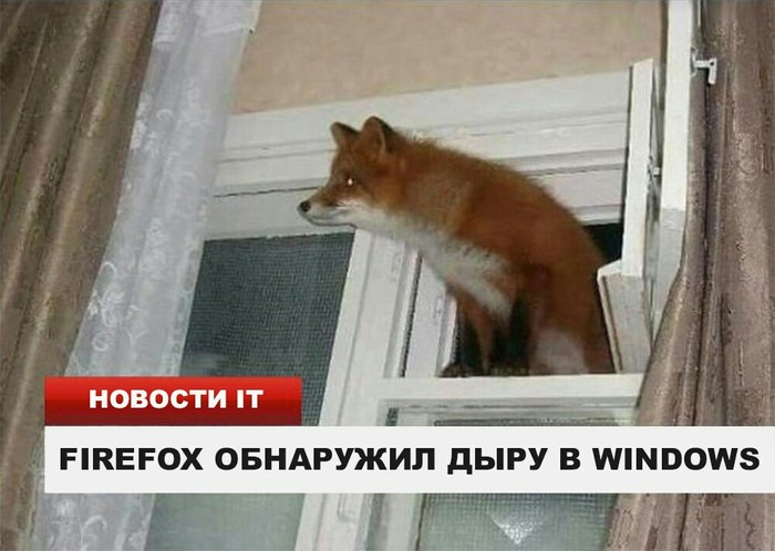 Go out, ognennaya lisa - Firefox, Windows, Hole, In contact with, Not mine