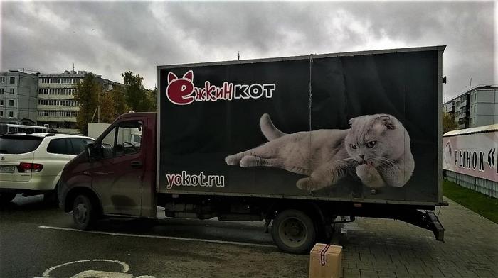 Here is a car that came to our market)))) Creative) My photo, my tag) - My, Eshkin cat, Creative advertising