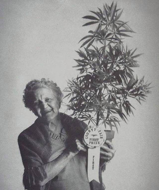картинки бабка и марихуана