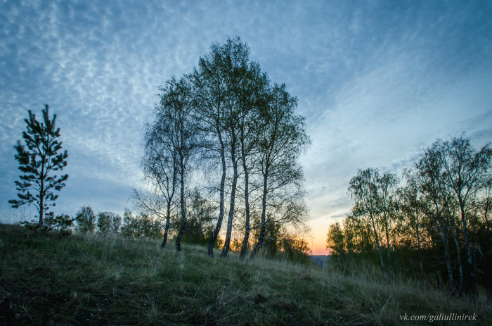 An early morning walk in May. - My, The photo, Morning, May, Tatarstan, Nikon, , Longpost