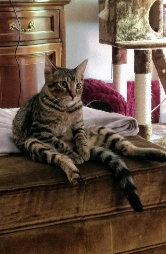 О бренности бытия..