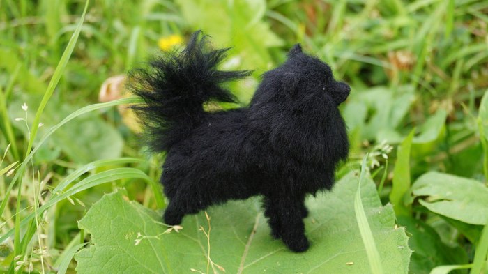 Spitz. In the technique of dry felting - My, Dog, Spitz, Animals, Pets, Wallow, Wool, Handmade, Soft toy