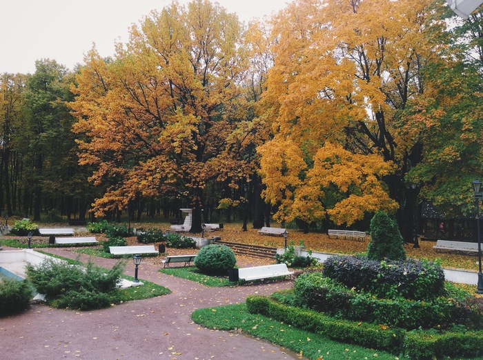 Нескучный сад в москве осенью