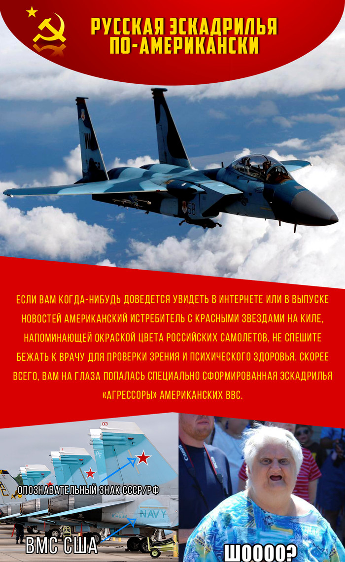 About US fighters with our identification marks. - NATO, Airplane, Squadron, USA, Russia, Teachings, Longpost