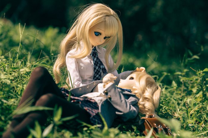 DollfieDream -   Dollfiedream,  , 