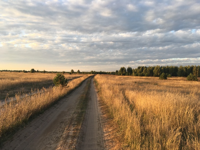 ������ �� �������. �������������� �� IPhone SE, ��� ��������