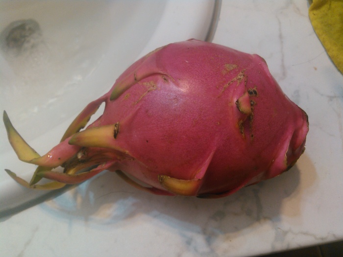      .      , , Dragonfruit, , 