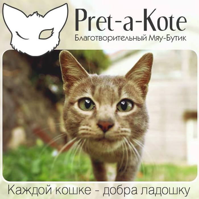 Благотворительный Мяу-Бутик Pret-a-Kote - Моё, Кот, Благотворительность, Благотворительные фонды, Помощь, Помощь животным