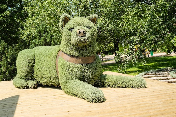 Good boy - Craft, Sculpture, Grass, Landscape design, Dog, , Topiary