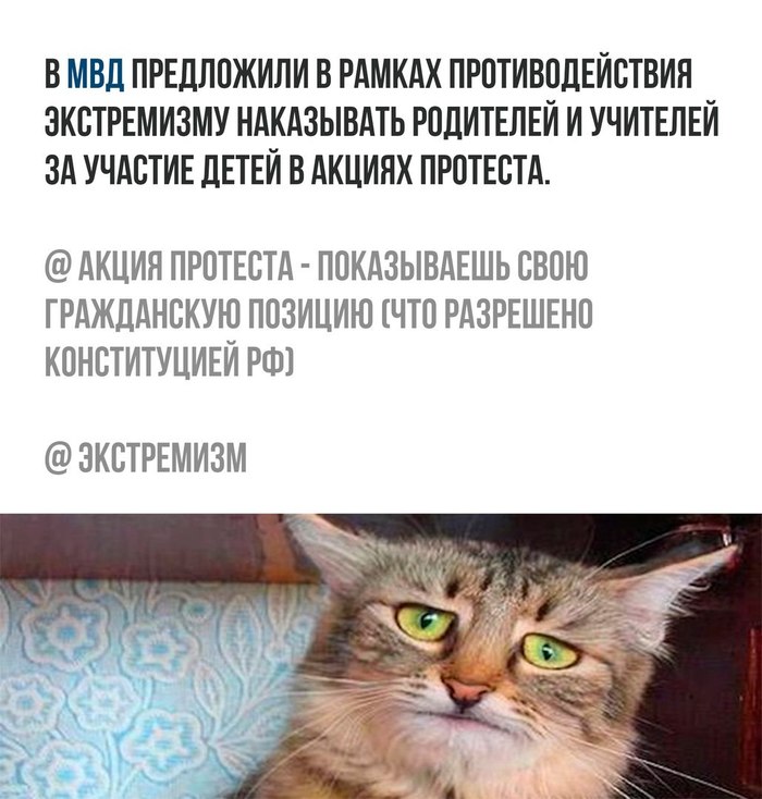 ����� ������ ������������ ���� ����