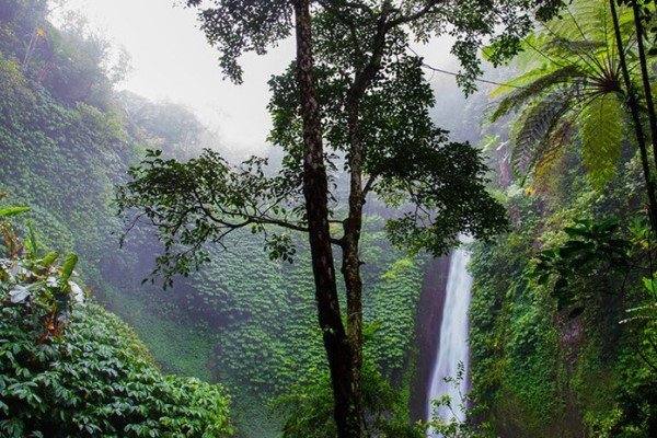 'Lost city' of the Inca Empire discovered in the heart of the Peruvian jungle - The Incas, Andes, 