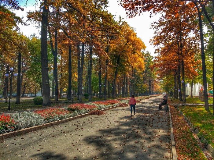 Просто не плохое фото ,как по мне ) - Осень, Парк, Фотография