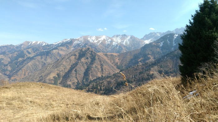 Trekking to Kok Zhailau on an autumn day! - My, Kok-Zhailau, Kazakhstan, Almaty mountains, Nature, Relaxation, Longpost
