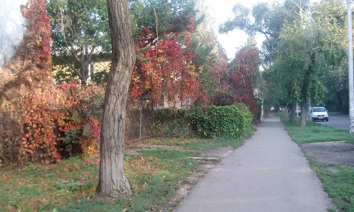 Damn cozy Odessa - My, Odessa, Autumn