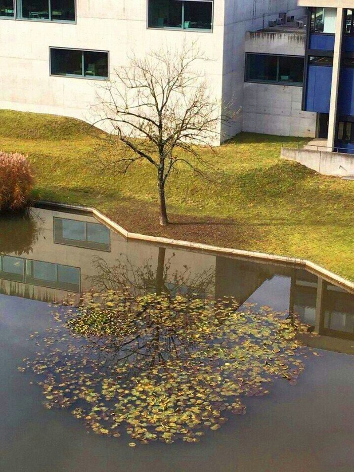 Внутреннее лето