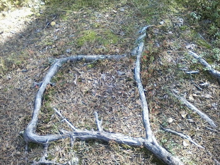 ���������� ������