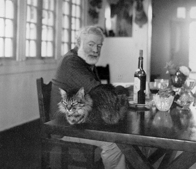 Famous people with their cats. - From the network, cat, Celebrities, Longpost