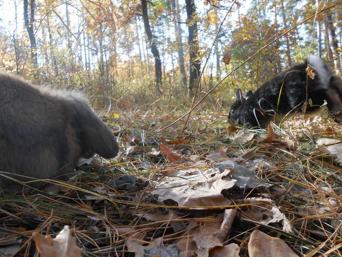 �������!