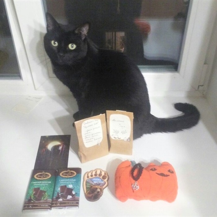 Autumn gift exchange. - My, , Gift exchange, Halloween, cat