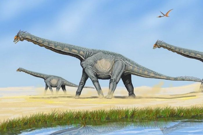 Earth needs dinosaur dung - Paleonews, Paleontology, The science, Biology, Dinosaurs