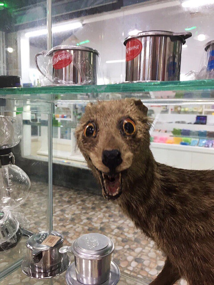 ,   ?! , , , , 