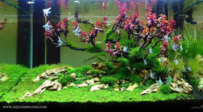 Интересная композиция