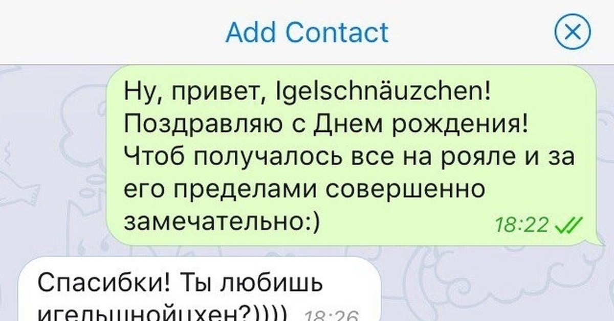 Ежиная Мордочка На Немецком