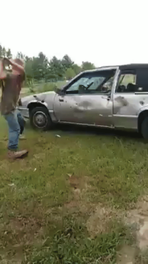 No need to offend the defenseless ... - Humor, GIF, Car, Instant Karma