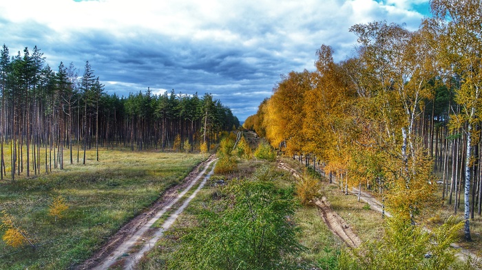 Красота осени - Россия, Воронеж, Цвет