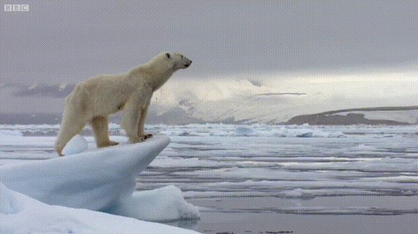 Нашли в воде что то невообразимое. Смотреть фото Нашли в воде что то невообразимое. Смотреть картинку Нашли в воде что то невообразимое. Картинка про Нашли в воде что то невообразимое. Фото Нашли в воде что то невообразимое