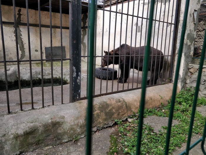 Казань | Пикабу