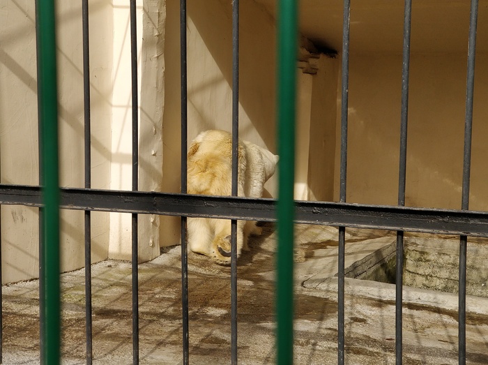 Казань | Пикабу