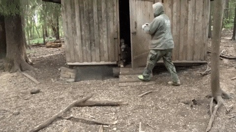Время еды