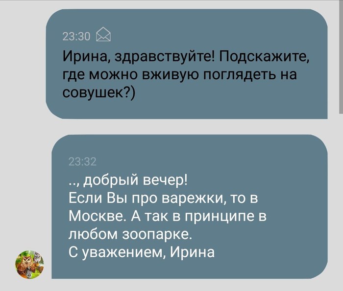 Подарок коллеге или как потерять клиента с первых сообщений. - Моё, Hademade, Сова, Покупка, Разочарование, Ярмарка мастеров, Длиннопост