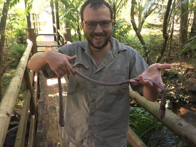 An earthworm almost a meter long was photographed in Australia. - Australia, , Find, Worm