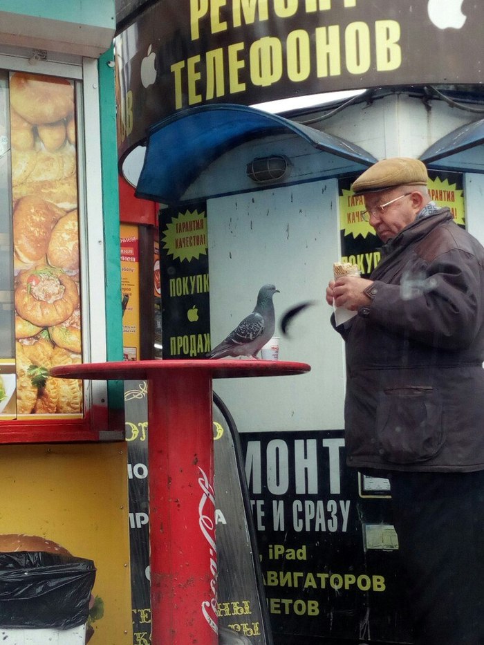 ������� ������