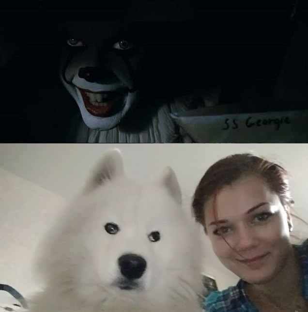 flea pennywise - My, It, Dog, Selfie