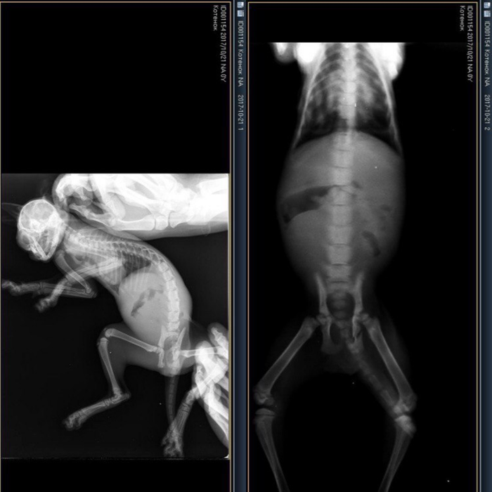 �������� ���������� �� �������