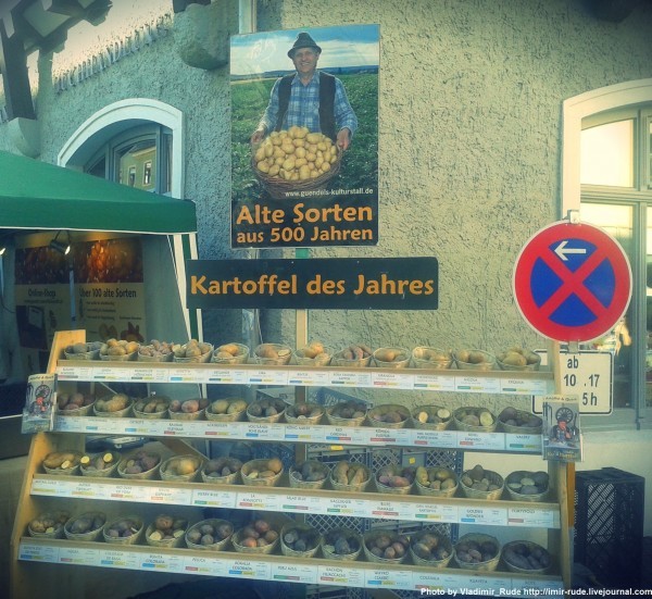 Notes on Germany #15: Three and a Half Centuries of Onion Love - My, Germany, Travels, Fair, Longpost